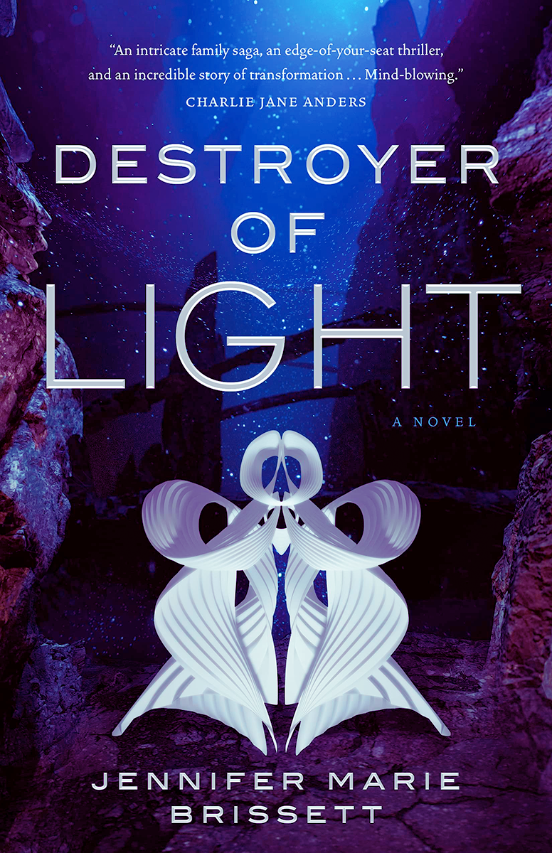 Blog Tour: Destroyer of Light by Jennifer Marie Brissett (Spotlight + Giveaway!)