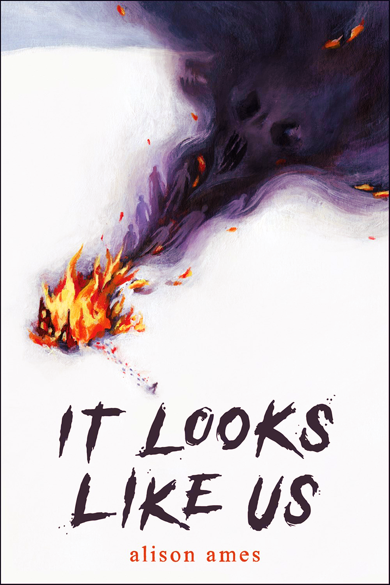 Blog Tour: It Looks Like Us by Alison Ames (Spotlight!)